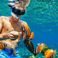 Best Playa Flamingo Walkin Snorkel Tour Prices Reviews