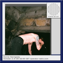 Dona Haringway - 2nd October 2025