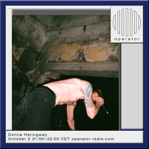 Dona Haringway - 2nd October 2025