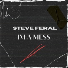 Steve Feral- Im A Mess(Original Mix)