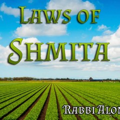 NEW COURSE! Shmita - All You Need To Know About The Coming Sabbatical Year