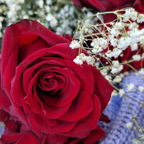 Jazzdauren дарите женщинам цветы 💐