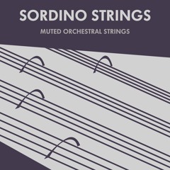 Sordino Strings Demo - Wintertide - By Marie - Anne Fischer