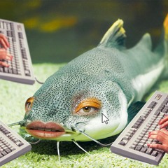 Catfish