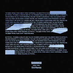 sidoku - how i feel (s!d remix)