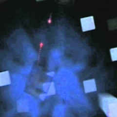 we will flourish. [prod. stay aurora]