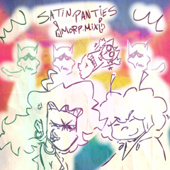 SATIN PANTIES - MORP MIX