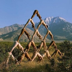 Hedex & Premium - //