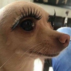 타임피버 빌어먹을 피처링 김연