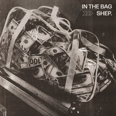 IN THE BAG