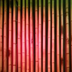 Busy Soul (violin mix)