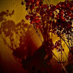 Build Boldly - Validation Is For Parking Not For People (Without Permission)