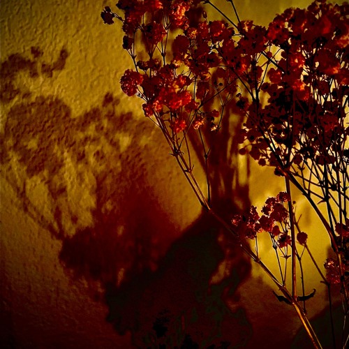 Build Boldly - Validation Is For Parking Not For People (Without Permission)