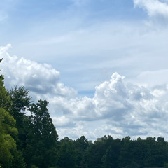 10 top prod hikari joshh tyian