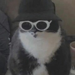 BLACK BEATLES (LOW PITCH + BASS BOOSTED) 156.7 BPM