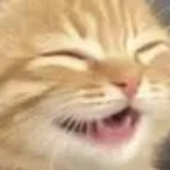 silly_track_funny.mov