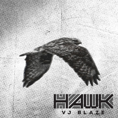 VJ Blaze - Hawk
