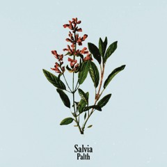 Salvia Palth