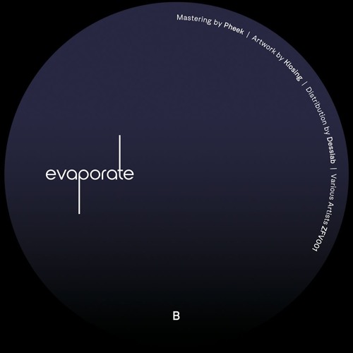 Premiere: B2. Venda - Voice In Space [ZFV001]