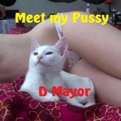"Meet my Pussy"uptempo hardcore mixed by D Mayor