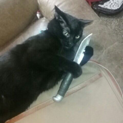 i need some help but i dont want it lol