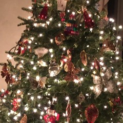 Turn on the Lights on the Christmas Tree