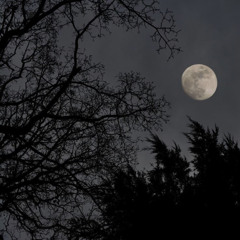 Jealous sped up perfectly