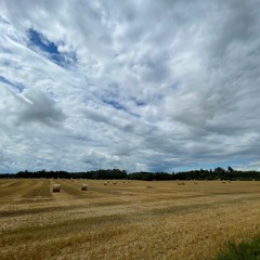 May The Force Be With Us