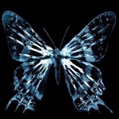 MASS EXTINCTION
