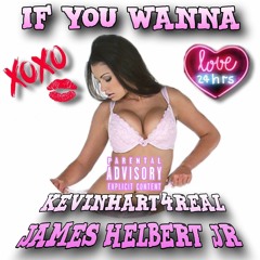 If You Wanna Featuring Kevin Hart (Produced By FlipTuneMusic)