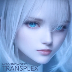 TRANSPLEX-EVO-ALPHA