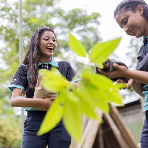 Climate Summit 2025: Scaling 10 Solutions That Can Still Deliver