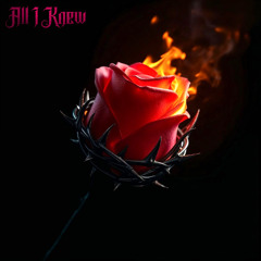 SLWMO - All I Knew (FREE DOWNLOAD)