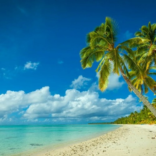 100gbe_Switch free background music downloads 🎼​FREE DOWNLOAD🎼​