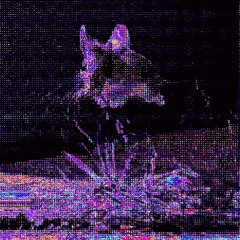 Кисельный эффект