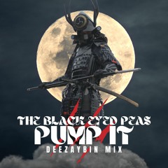P.u.m.p I.t x DEEZAYBIN x Mix