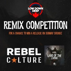 Rebel Culture - Land Of The Living (Mando Remix)