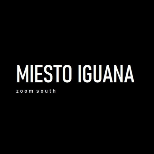 Zoom South- Miesto Iguana