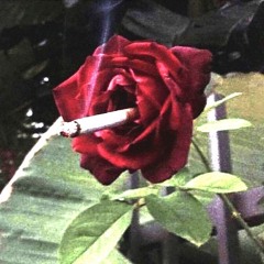 𝙍𝙊𝙎𝙀𝘽𝙇𝙀𝙀𝘿