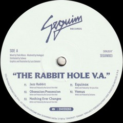 Various Artists - The Rabbit Hole V.A. (SEGUIM003)