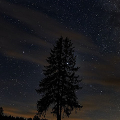 انا مستحي منك♌️