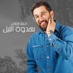 بهدوة الليل