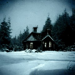 Stopping by Woods on a Snowy Evening(Robert Frost; i Loops)
