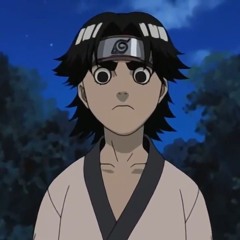 rock lee x mistake