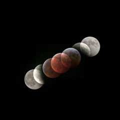 AlbyFunkin TheDeepEND.031