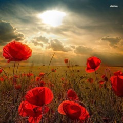 Hope In Adversity