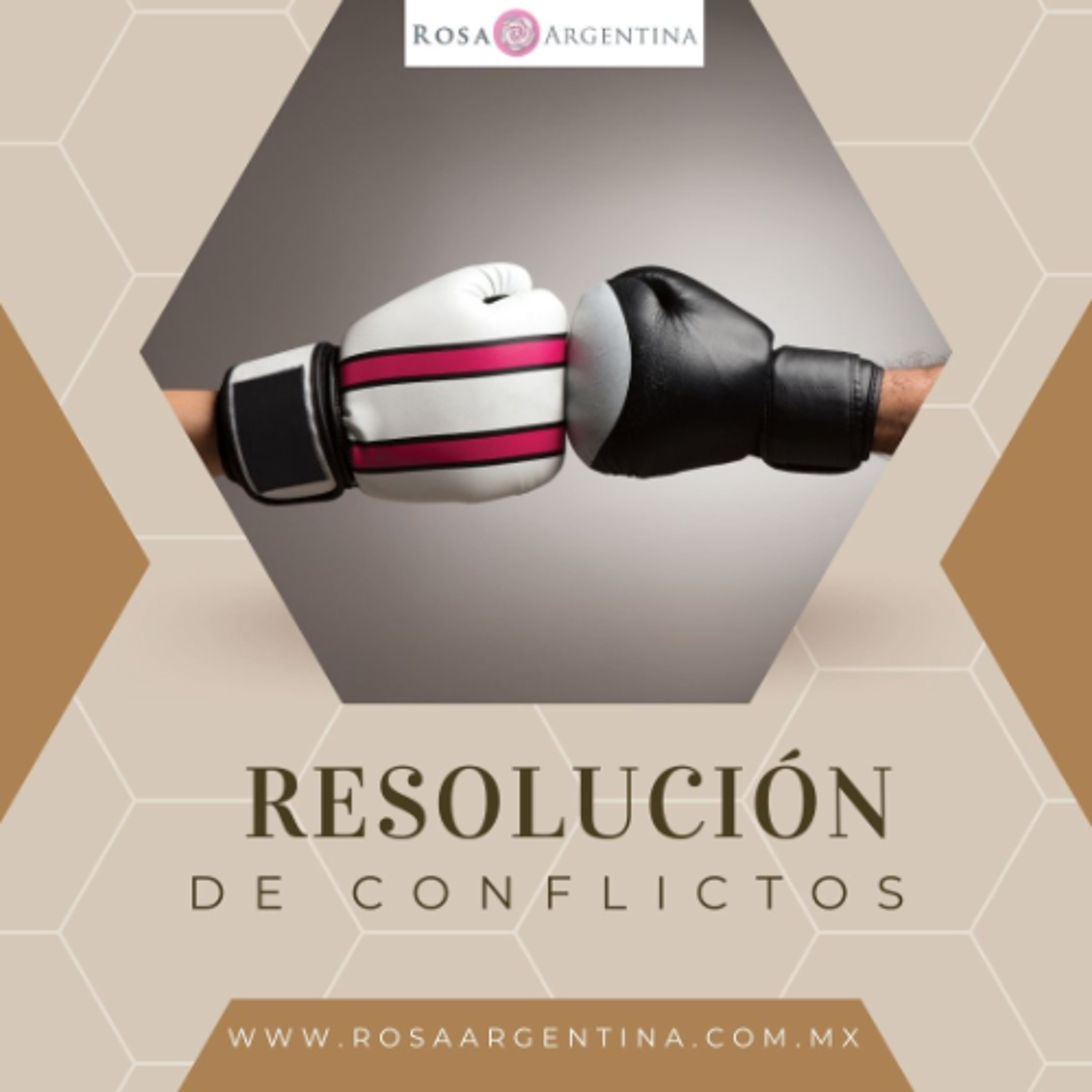 RESOLUCION DE CONFLICTOS