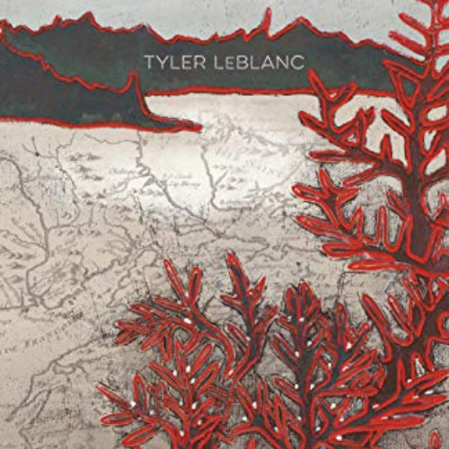 [Get] EPUB 🖋️ Acadian Driftwood: One Family and the Great Expulsion by  Tyler LeBlan