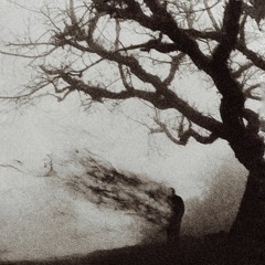 Only My Own Thoughts