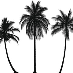 House beat 16-7-2025